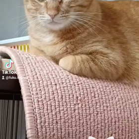 暖かい気候の画像