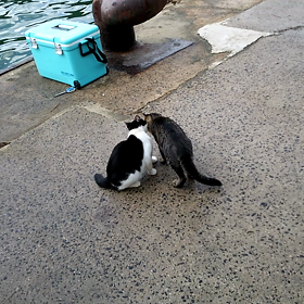 島根県温泉津温泉 台風過ぎての画像