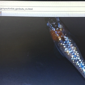 違いが(・・;)の画像