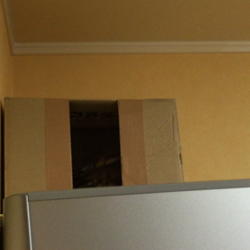 森カフェお休みですの画像