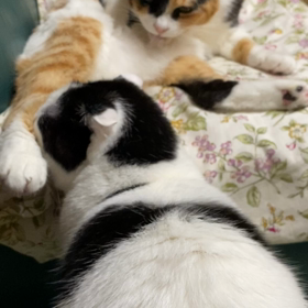 平和な夜の画像