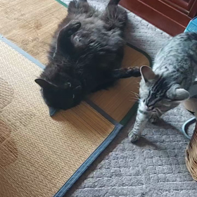 母ちゃん在宅で幸せなふたりの画像