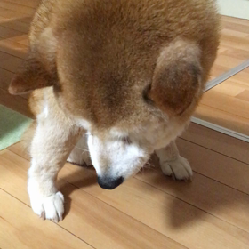 と思ったら、、、の画像