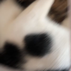 チラシは上手く出来たけどの画像