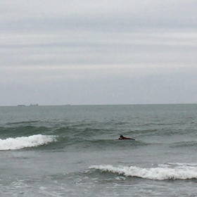 膝波、長板 その1SIMIZUくんの画像
