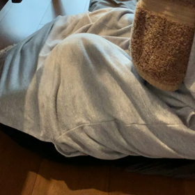 風物詩？の画像