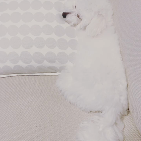 ■明日からまた1日1日を大切にしてくださいの画像