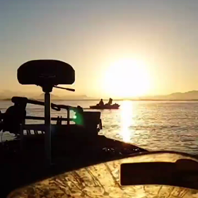 11月22日の釣果の画像