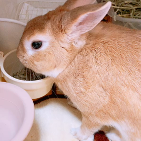 忘れかけてたの画像