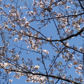 出し惜しみしないの画像