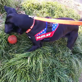 飽くなきの画像