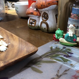 ブルーデグーの「まる」くんおやつ食べにくるの画像