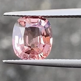 スピネル見付けた!!の画像