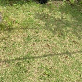 怖い記憶の画像