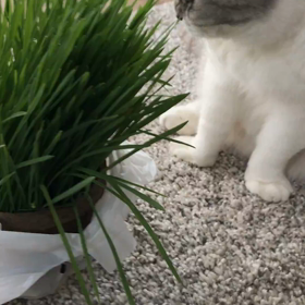 10月スケジュール&イベントの画像