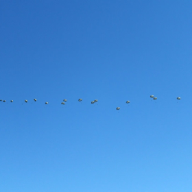 入間基地 航空祭の画像