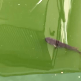 良い感じの画像