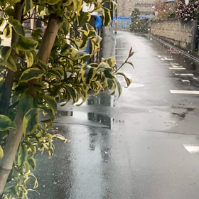 わくわく☃️の画像