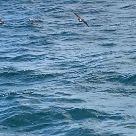 ぱちゃぱちゃの画像