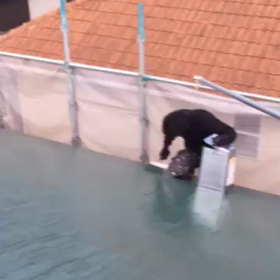 津市S様邸の画像