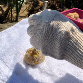 ジオードの画像