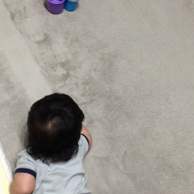 生後5ヶ月半▷▷ずりばいshortmovie3連発の画像