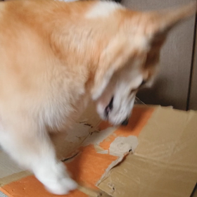 今日の１枚の画像