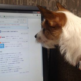 未確認飛行物体。の画像