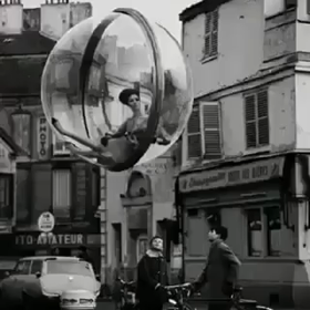 thedailyrabbitの画像