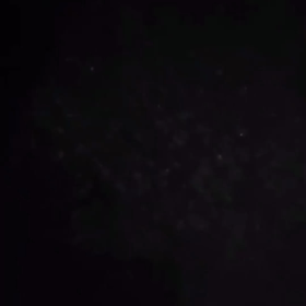 真夜中のプレゼントの画像