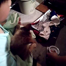 何とか食べれるようになりました。の画像