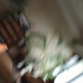 まるの動画の画像