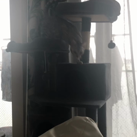 きゅんポイントの画像