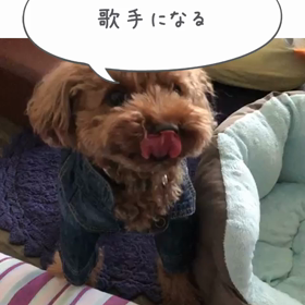 お聴きくださいの画像