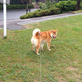 お腹がゆるくても遊びたいの画像