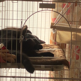 いろいろと・・・の画像