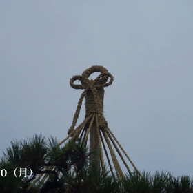 本日もお疲れ様でした☘️☕️☘️の画像