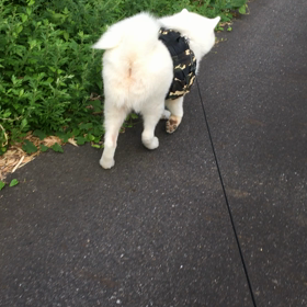 ちょっと遠征の画像