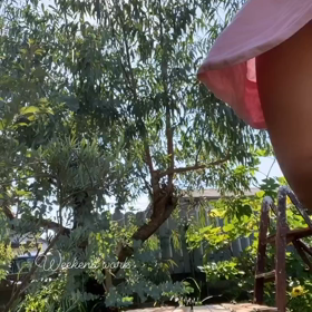 初めての早送り動画♡お庭の仕事の画像