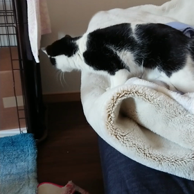 やった〰️‼️やったぞ〰️‼️の画像