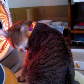 また雪の予報の画像