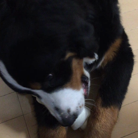 嬉しいねの画像