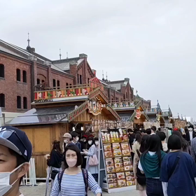 5/7土曜日　横浜フリューリングフェストの画像