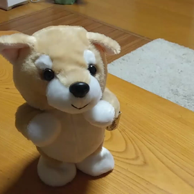 買っちゃった。の画像