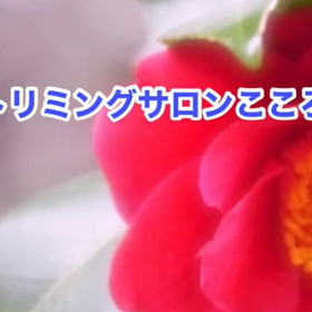今年もよろしくお願いいたします！　1月　〜スライドショー〜の画像