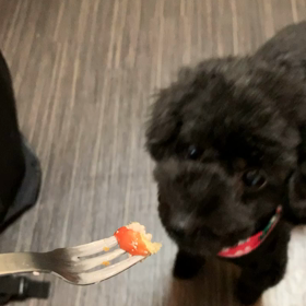 サマーカットしたよの画像