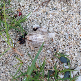 朝  浜での画像