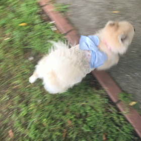 おさんほ。の画像