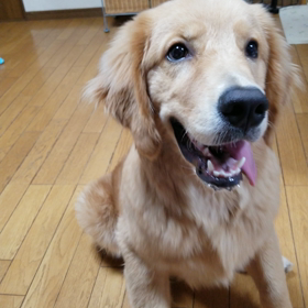 今日から笑顔での画像
