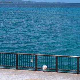 青い海が……の画像